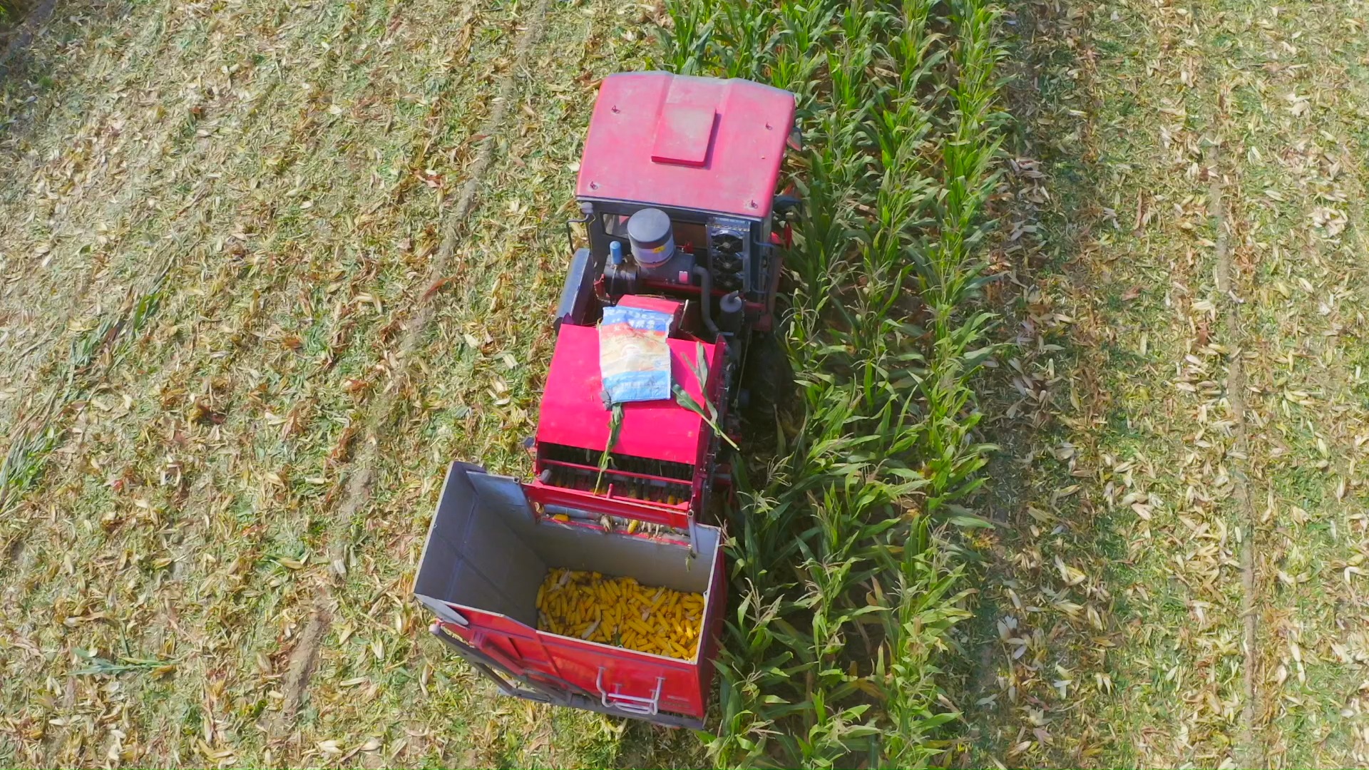 三行玉米收获机 corn harvester picture