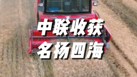 来自中东的哈森怎样看待中联收获收割机