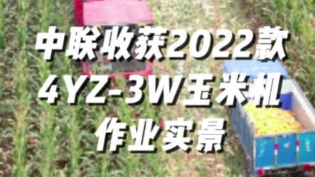 中联收获2022款4YZ-3W玉米收获机作业实景