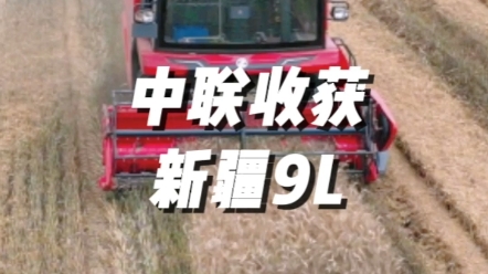 中联收获2023款新疆9L切纵轴流联合收获机作业视频展示