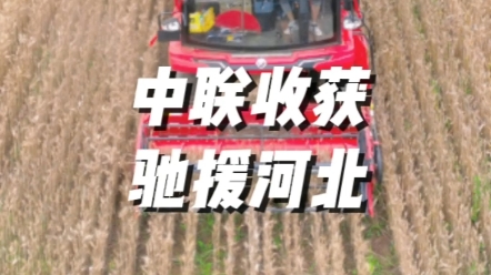 目前，河北麦收已进入关键时期，石家庄、保定、衡水、邢台全面进