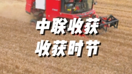 6月是收获的时节，在各小麦主产区，中联收获小麦收割机正如火如