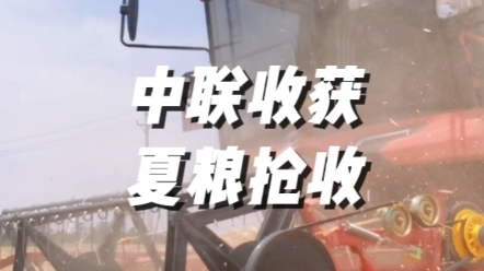 河南麦收是金色麦浪，颗粒归仓的丰收景象，却因连日阴雨导致小麦