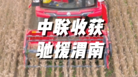 中联收获驰援陕西渭南小麦抢收，助力夏粮颗粒归仓